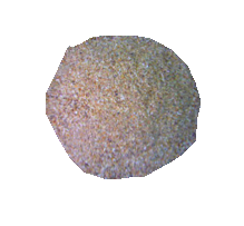 �㹽�ۡ����ŷ�.png